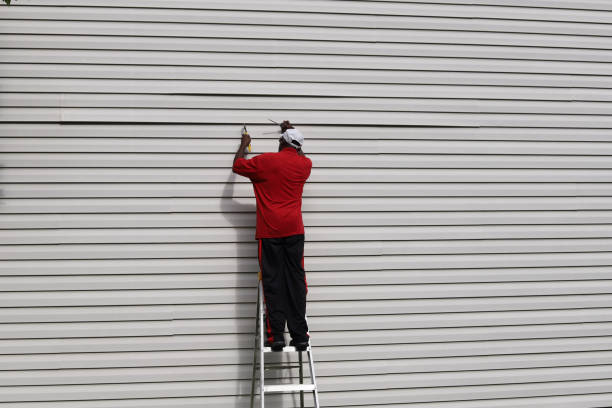 Affordable Siding Repair and Maintenance Services in Collinsville, IL